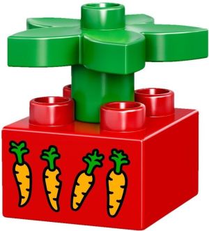 LEGO Duplo Zwierzątka domowe (10838) 6
