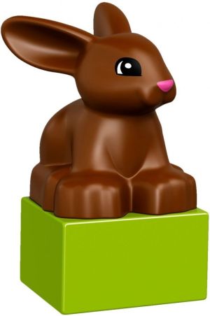 LEGO Duplo Zwierzątka domowe (10838) 10