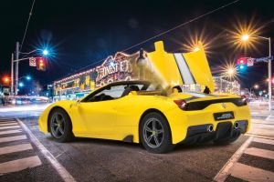 Jamara Ferrari 458 Special A 1:14 żółte (405067) 1
