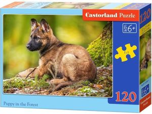 Castorland Puzzle 120 Elementów Szczeniak w lesie (GXP-577227) 1