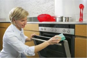 Vileda 	VILEDA GĄBKA DO NACZYŃ PUR ACTIVE 2 2