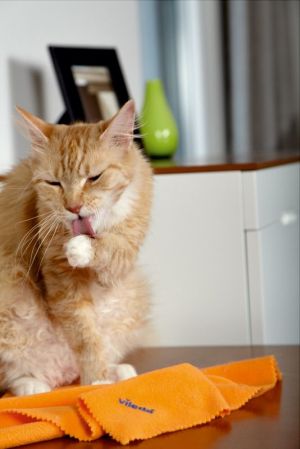 Vileda Staub Orange (141302) 3