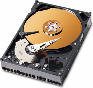 Dysk WD 3.5"  (WD2500AVJS) 1
