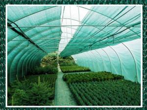 Iglaco Siatka cieniująca, maskująca - 60 % - 3 x 10 m 3