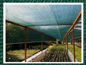 Iglaco Siatka cieniująca, maskująca - 60 % - 3 x 10 m 5