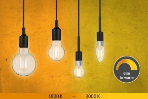 Paulmann Źródło LED 806lm E27 7W ściemniany toWarm 1800-3000K 230V 3