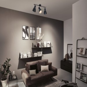 Lampa sufitowa Paulmann Reflektor DAVY max. 3x20W E27 230V czarny metal 3