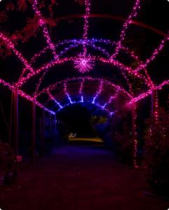 Dekoracja świąteczna Twinkly ozdoba świetlna 11