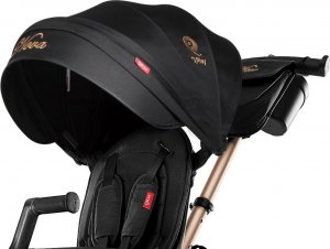 Qplay Rowerek Trójkołowy Nova+ Rubber Golden 10