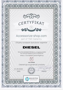 Zegarek Diesel Zegarek Męski Diesel Mr. Daddy DZ7333 ZŁOTY 4