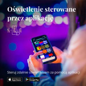 Twinkly Inteligentna ozdoba świetlna Festoon 20 LED RGB 10 m 13