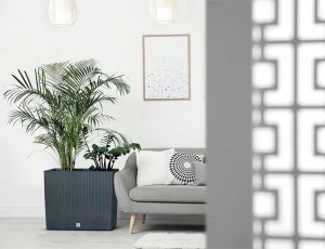 Prosperplast Doniczka Rato Case Tower DRC600T umbra 2