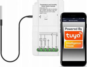 RTX Termostat zewnętrzny czujnik temperatury TUYA WiFi 1