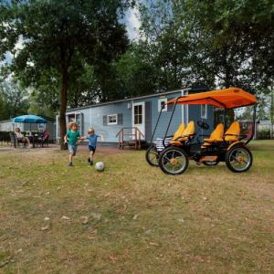 Berg Berg Gokart na pedały 4-osobowy Gran Tour Racer do 225 KG 6