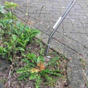 Hozelock Hozelock Wypalarka chwastów, gazowa 3