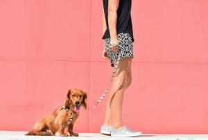 ZeeDog ZEE DOG Smycz dla psa Phantom XS 2