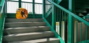 Wentylator Master Wentylator Master DFX 20 4