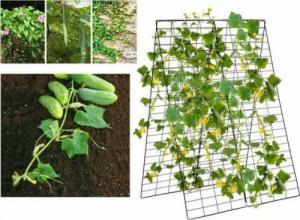 Costway Dwuczęściowy stalowy trejaż ogrodowy drabinka do roślin 7