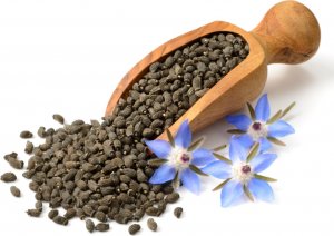 Aliness ALINESS Olej z nasion ogórecznika 20%/35% 1000 mg x 60 caps  one size 2