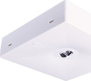 Intelight Oprawa awaryjna natynkowa STARLET QUAD LED SC 150 A 1H MT IP20 / INLEWA 92901 1