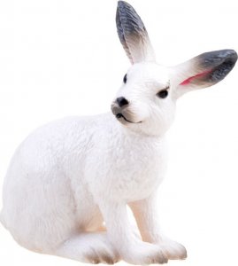 Figurka Jokomisiada Królik zając Zwierzęta domowe figurka 4,5cm ZA3383 11