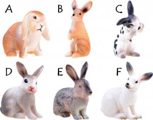 Figurka Jokomisiada Królik zając Zwierzęta domowe figurka 4,5cm ZA3383 13