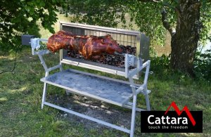 Cattara Piglet Rożen węglowy 5