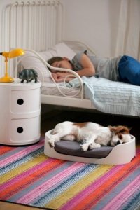 Curver Curver Legowisko piętrowe Pelech and Crate 3w1, Capp/Niebi 6