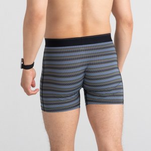 SAXX Bokserki męskie SAXX Quest Zmierzch Solar Stripe S 4