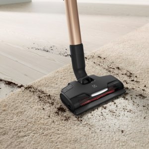 Odkurzacz pionowy Electrolux EP81U25ULT 5