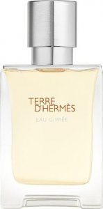 Hermes Terre d'Hermes Eau Givree EDP 100 ml 1