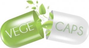 Aliness ALINESS Dong Quai (DZIĘGIEL CHIŃSKI) ekstrakt 1,5% 500 mg x 100 Vege caps. one size 2