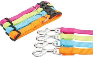 Zolux Obroża nylon regulowana 10 mm seledynowa 2