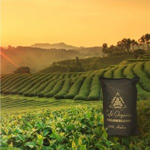 Kawa ziarnista Marila Cafe Organico 1 kg 5