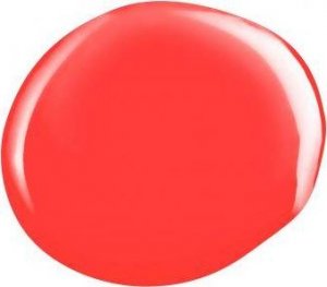 KINETICS KINETICS LAKIER SOLARNY 534 FORTUNE 3