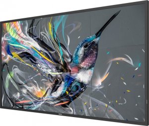 Monitor Philips Q-line 50BDL3511Q/00 2