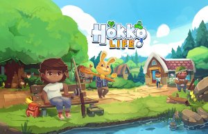 Hokko Life PS4 3