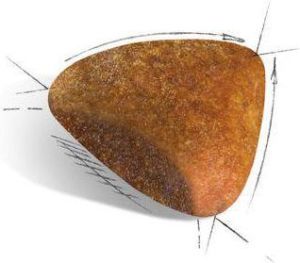 Royal Canin Sphynx Adult karma sucha dla kotów dorosłych rasy sfinks 2kg 5