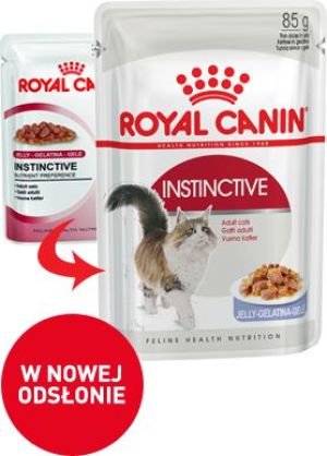 Royal Canin INSTINCTIVE Feline w galaretce 85 g 2