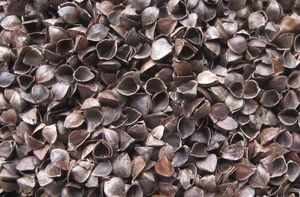 Sensillo Materac Gryka-Pianka-Kokos Luxe 120x60cm 5