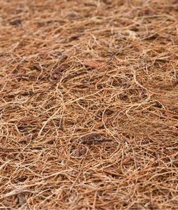 Sensillo Materac Gryka-Pianka-Kokos Luxe 120x60cm 6