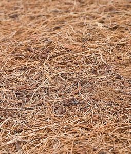 Caretero MATERAC SENSILLO KOKOS 120X60 (5cm) 4