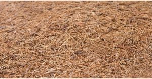 Caretero Materac sensillo classic 120x60 4