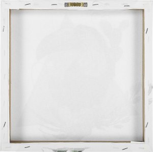 Beliani Zestaw 3 obrazów na płótnie zwierzęta 30 x 30 cm kolorowy MENAKA 9