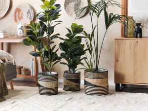 Beliani Zestaw 3 koszy na kwiaty z trawy morskiej z czarnym RATTAIL 2