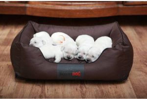 Hobbydog Legowisko Comfort - Czarne XXXL 4