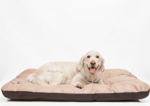 Hobbydog Materac Eco - Czarny R1 4