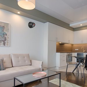 Retoo ATRAPA KAMERY PRZEMYSŁOWEJ KAMERA KOPUŁKA DIODA 7