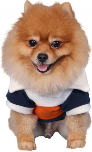DoggyDolly Sweter z polaru w paski, kremowo/pomarańczowo/niebieskie,S 23-25cm/36-38cm 1