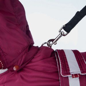 Trixie PŁASZCZYK DLA PSA "Iseo", S: 40 cm, BORDOWY 3